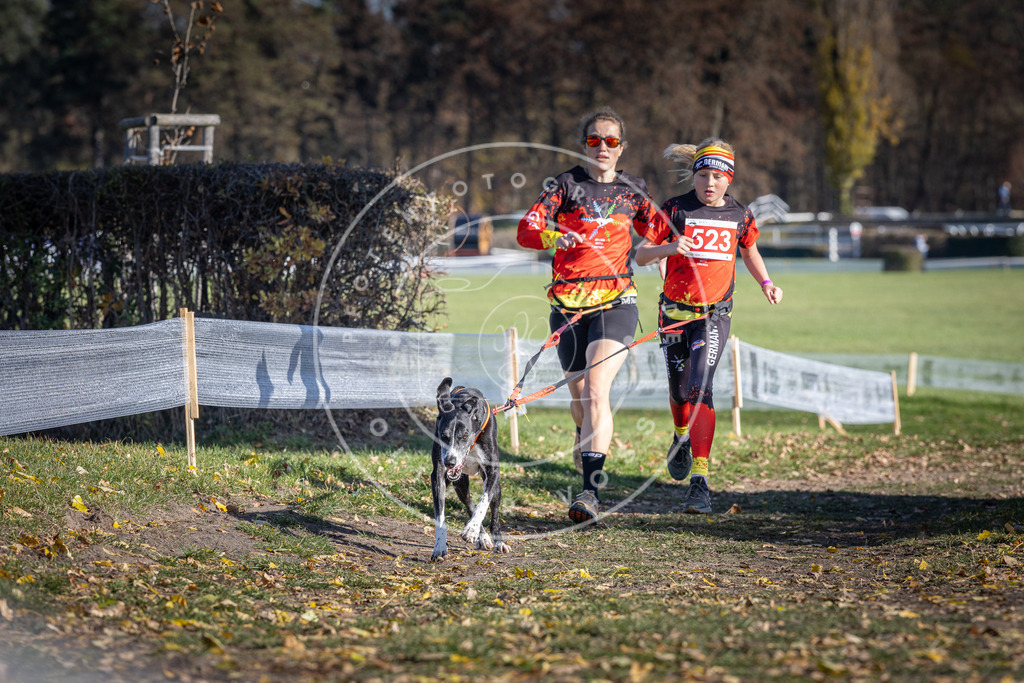 CaniXpix_DV3A8122 | Hundefotografie, Tierfotograf, Pfotenfotografie, Fotoshooting Hund, Hunde Portrait, Hundesport, Hundeportraits, Heideshooting, Hunde, Sportfotograf, Hundefotograf, Turnierhundsport, THS,  - Realisiert mit Pictrs.com