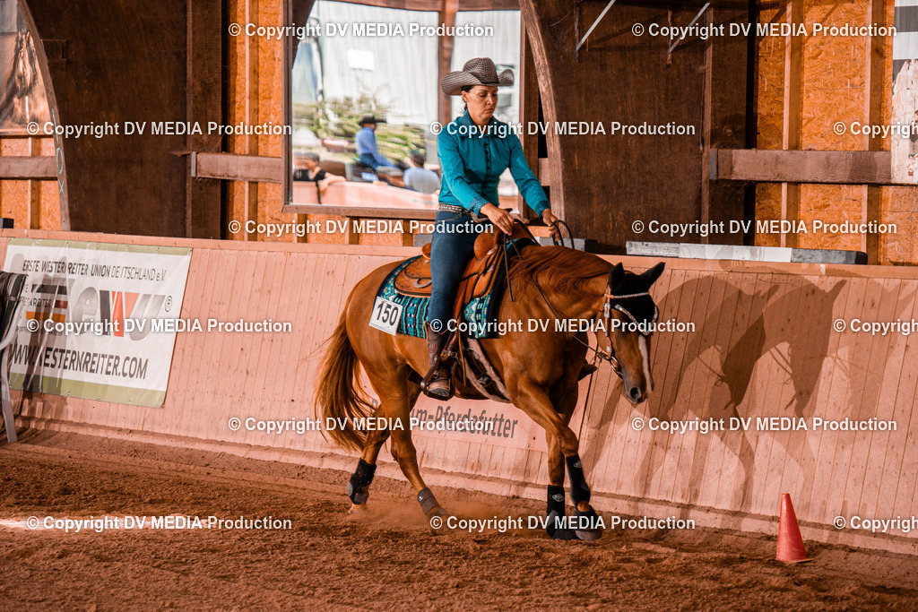 NE200859 | dv-media-shop - Realisiert mit Pictrs.com