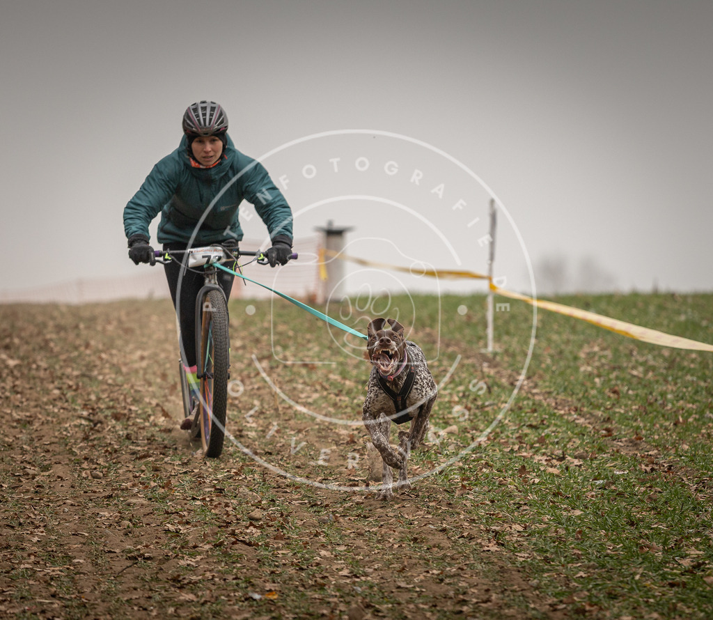 Pfotenfotografie_DV3A3548 | Hundefotografie, Tierfotograf, Pfotenfotografie, Fotoshooting Hund, Hunde Portrait, Hundesport, Hundeportraits, Heideshooting, Hunde, Sportfotograf, Hundefotograf, Turnierhundsport, THS,  - Realisiert mit Pictrs.com