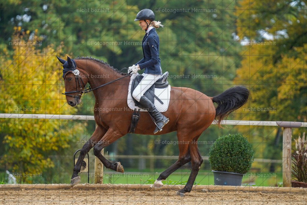 20221007-FAH09862 | Diessen am Ammersee, 2022, Dressur- und Springturnier, Reitsportbilder, Turnierfotografen Bayern, Pferdefotografen, Fotoagentur Herrmann, Turnierbilder