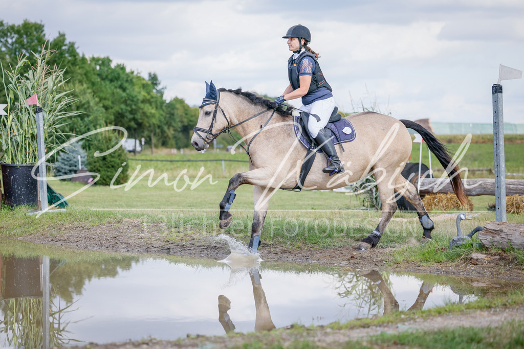 20250905-_3LI0918 | Tierfotografie Pferde, Hunde, Katzen, Haustiere.
Turnierfotografie Reitturniere, Reiten, Springreiten, Dressur in Hanau, dem Main-Kinzig-Kreis und dem Rhein-Main- Gebiet um Frankfurt