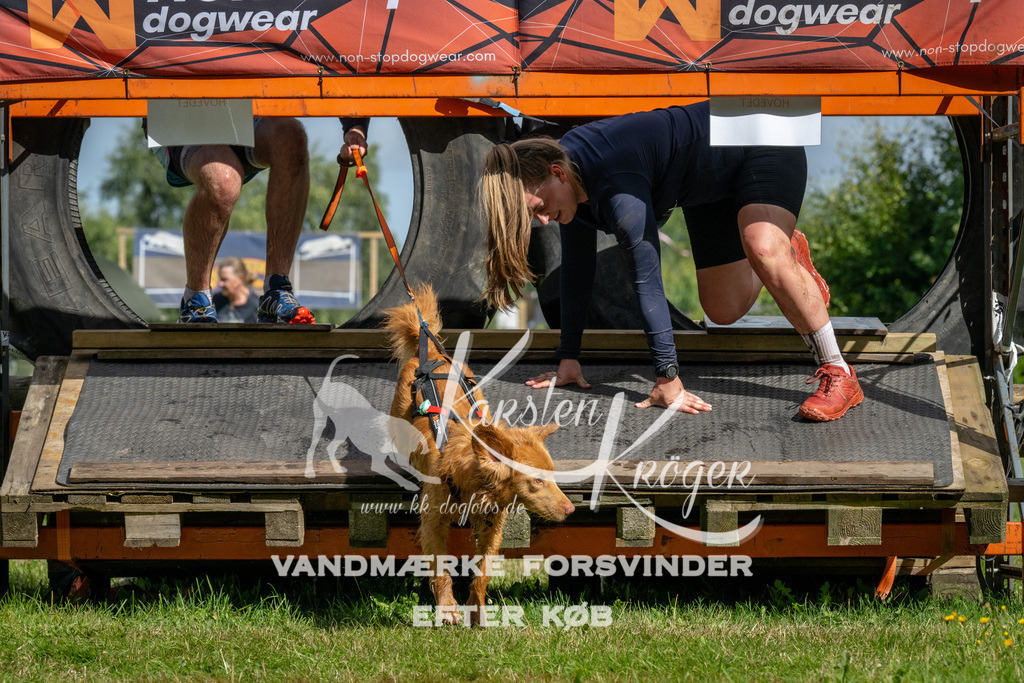1110_ZZ92031 | kk-dogfotos