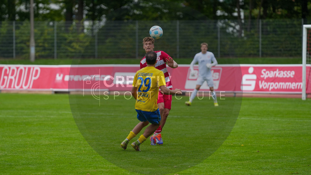 Fußball, Herren, Saison 2025/2026, Regionalliga Nordost, 9. Spieltag, Greifswalder FC vs. FSV 63 Luckenwalde, Sonntag 21.09.2025, Volksstadion Greifswald, | Fußball, Herren, Saison 2025/2026, Regionalliga Nordost, 9. Spieltag, Greifswalder FC vs. FSV 63 Luckenwalde, Sonntag 21.09.2025, Volksstadion Greifswald, Im Bild: Simon Gollnack (gelb, Luckenwalde) und Edgar Kaizer (rot, Luckenwalde) - Realisiert mit Pictrs.com