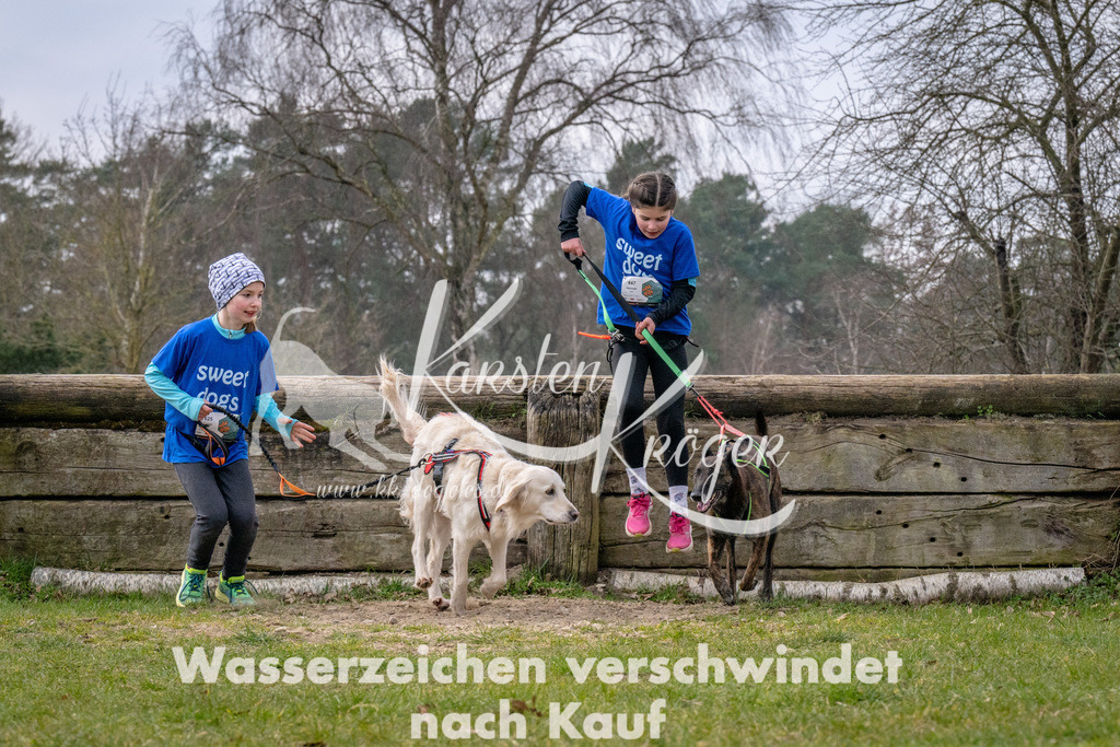_ZZ91689 | kk-dogfotos