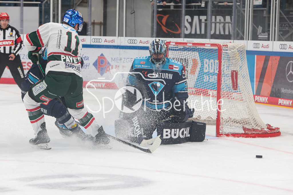 ERC Ingolstadt - Augsburger Panther  | Adam PAYERL (AEV #11) wird im letzten Moment entscheident gestoert