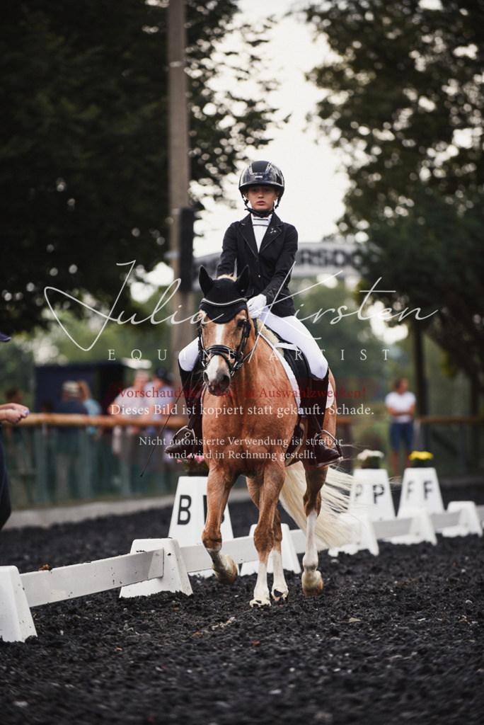 DSC_3817 | Pferde- und Turnierfotografie in Westsachsen. Pferdeportraits, Auftragszeichnungen und intuitive Kunst.