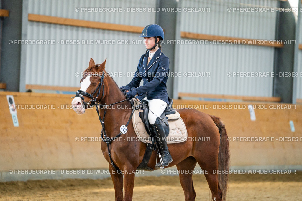 DSC00946 | Pferdegrafie