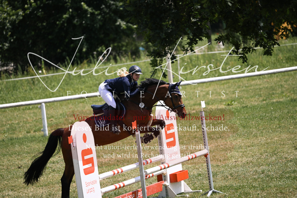 DSC_9858 | Pferde- und Turnierfotografie in Westsachsen. Pferdeportraits, Auftragszeichnungen und intuitive Kunst.