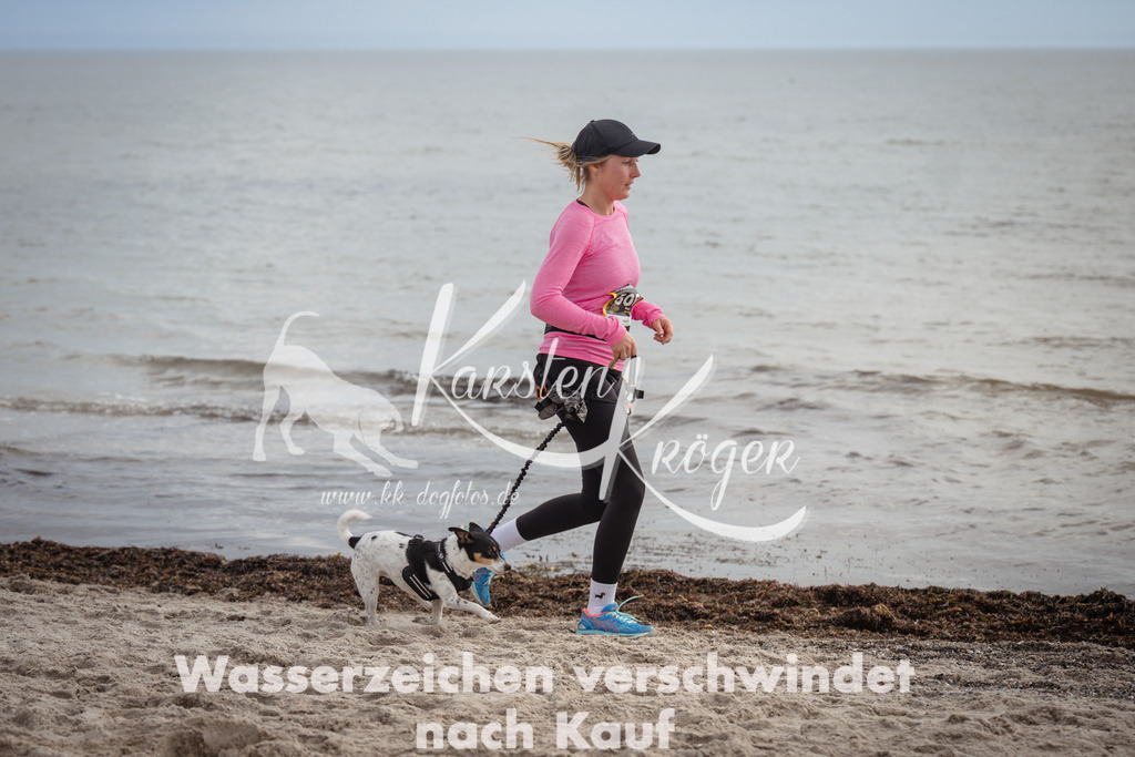 1216_ZZ95991 | kk-dogfotos