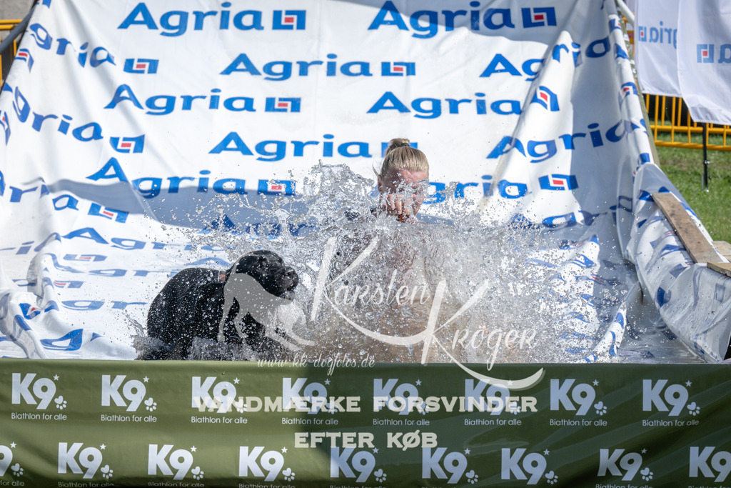 1146_ZZ93995 | kk-dogfotos