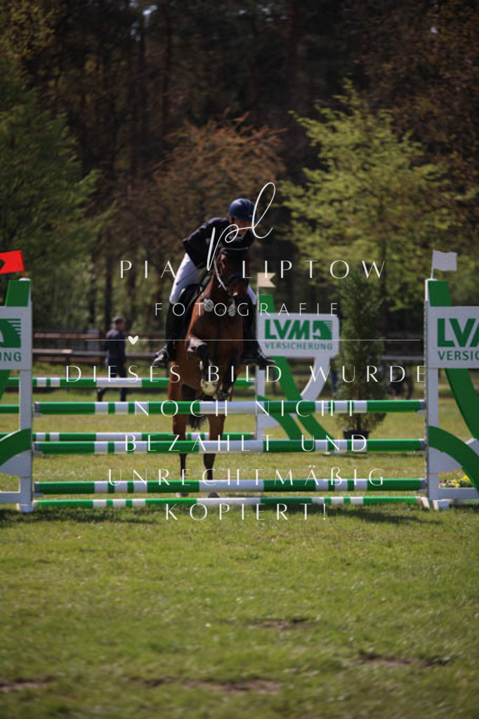 IMGT5680 | pl-fotografie