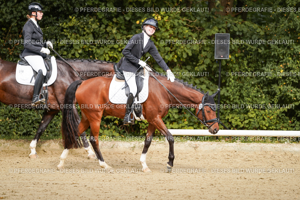 DSC09756 | Pferdegrafie