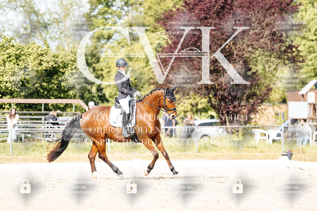CK900403 | Turnierfotografie Pferdefotografie Trier Rheinland-Pfalz Pferdesport Reitsport Tierfotografie Sportfotografie Pferdevideo Pferdevideografie Equestrianvideography equestrianphotography  - Realisiert mit Pictrs.com