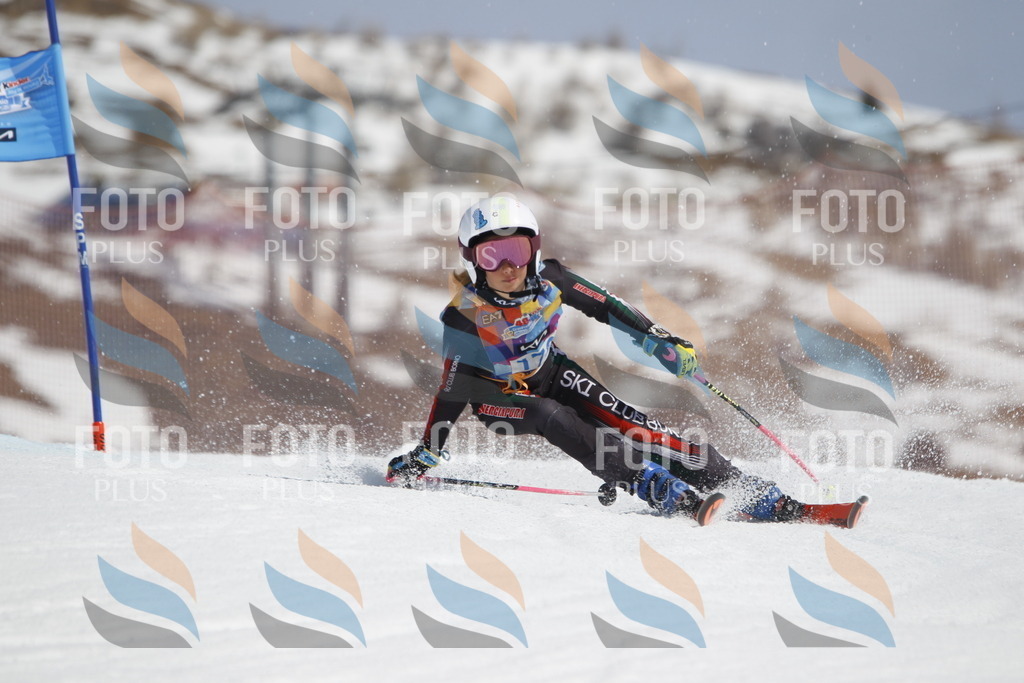 _U3G1578 | holidayphoto