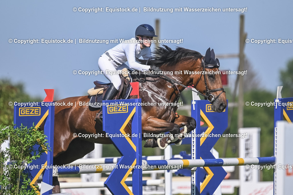 20230908_24_Springen_M_0014 | equistock