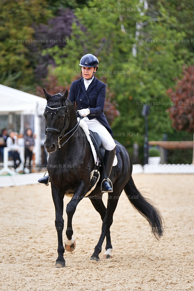 11-194-Dressur S___-Marixx-1500 | working equitationturnier fotograf videograf stoibphotography marixx film working equitation deutschland reitsport turnierfotografie eventfotografie equestrian events