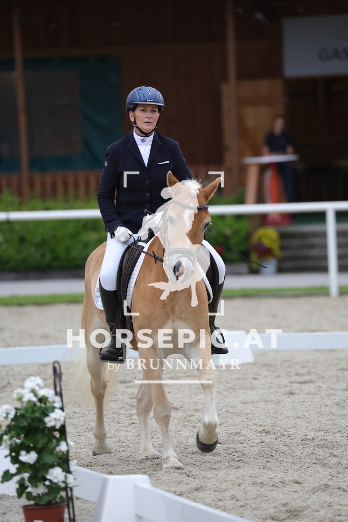 0P6A3597 | Willkommen bei Brunnmayr - Design & Fotografie – Ihrem Spezialisten für Reitturniere und Pferdeveranstaltungen in Oberösterreich, Salzburg und Bayern! Seit über 17 Jahren sind wir leidenschaftlich dabei.