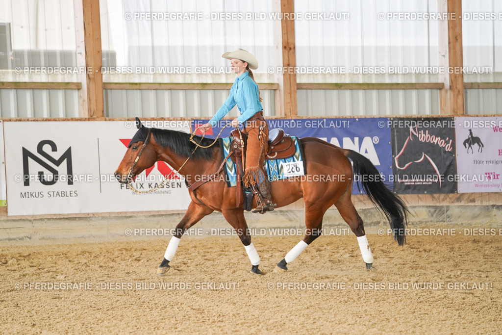 DSC00887 | Pferdegrafie