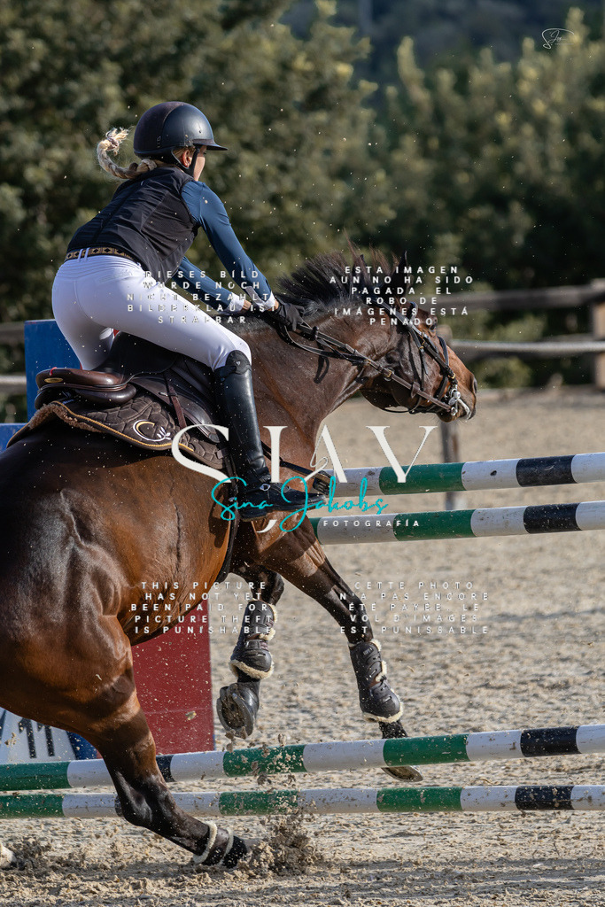 IMG_0308 | s-jay-photography - Realisiert mit Pictrs.com