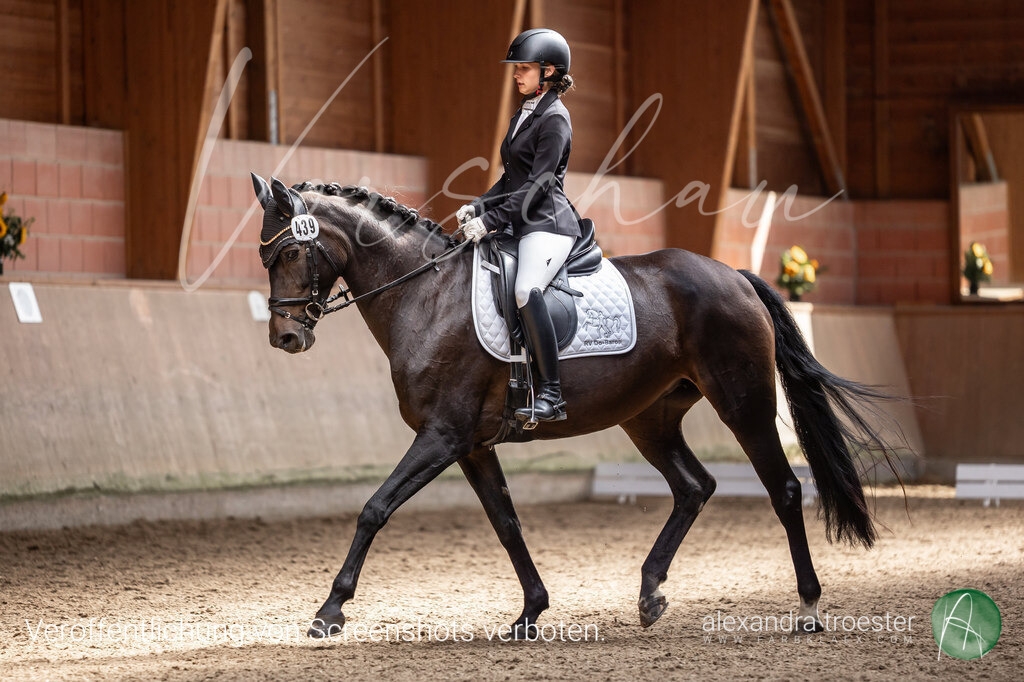 250913_Barop_09_009 | Farbklaex - Turnierfotografie - Realisiert mit Pictrs.com