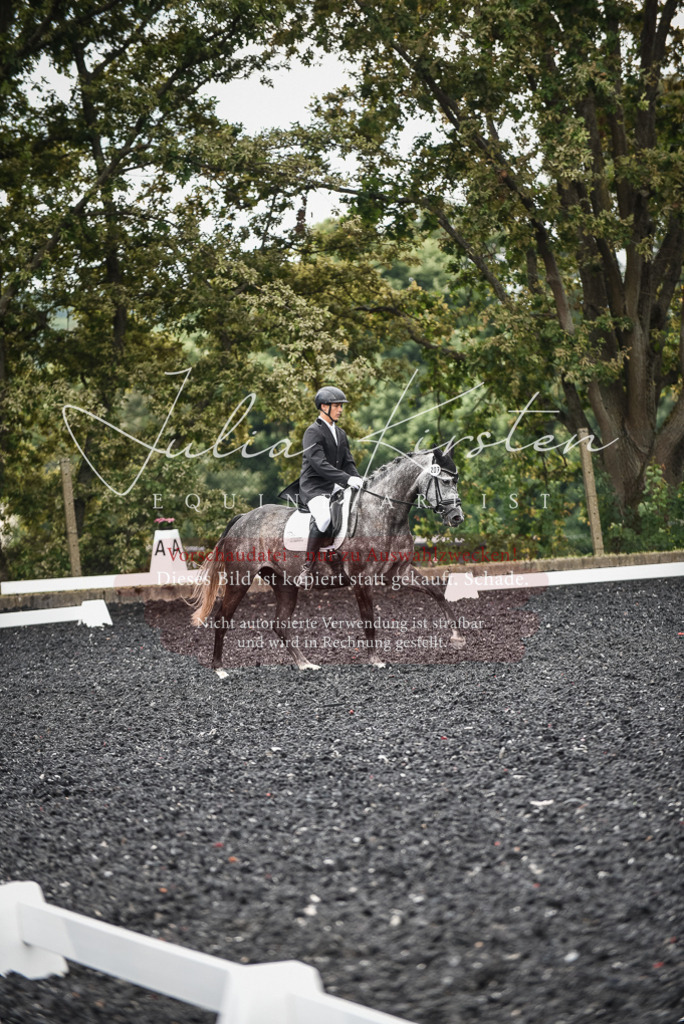 DSC_4623 | Pferde- und Turnierfotografie in Westsachsen. Pferdeportraits, Auftragszeichnungen und intuitive Kunst.