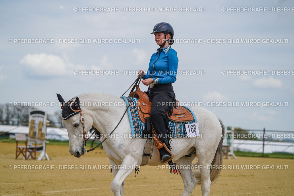 DSC05546 | Pferdegrafie