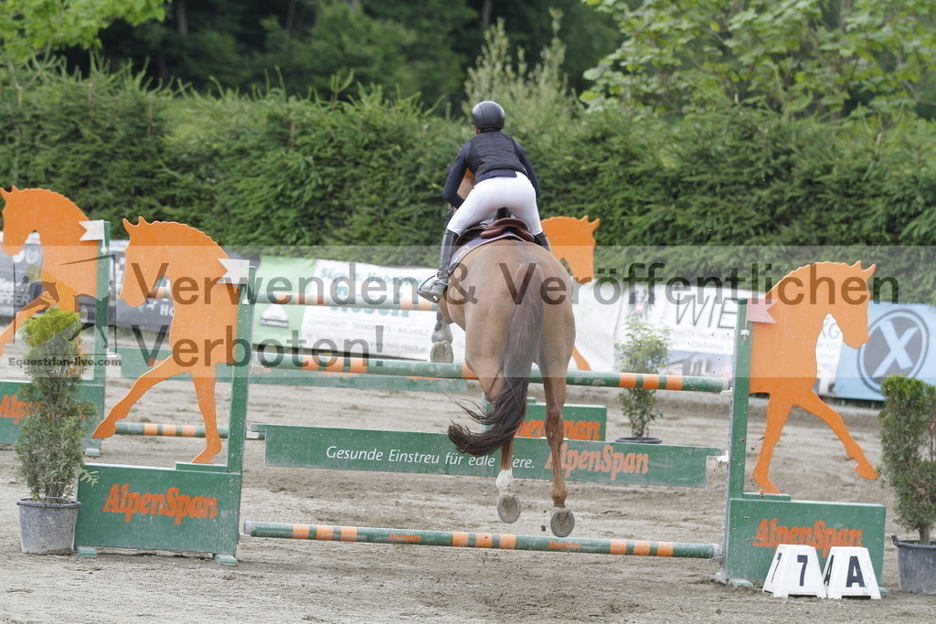 _MG_5301 | equestrian-live-com