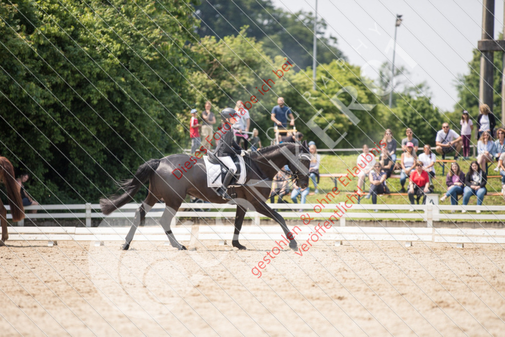 IMG_3896 | Sport-, Event- und Tierfotos in Profiqualität. Einfach auswählen, bestellen und herunterladen. Dein Moment – perfekt festgehalten.