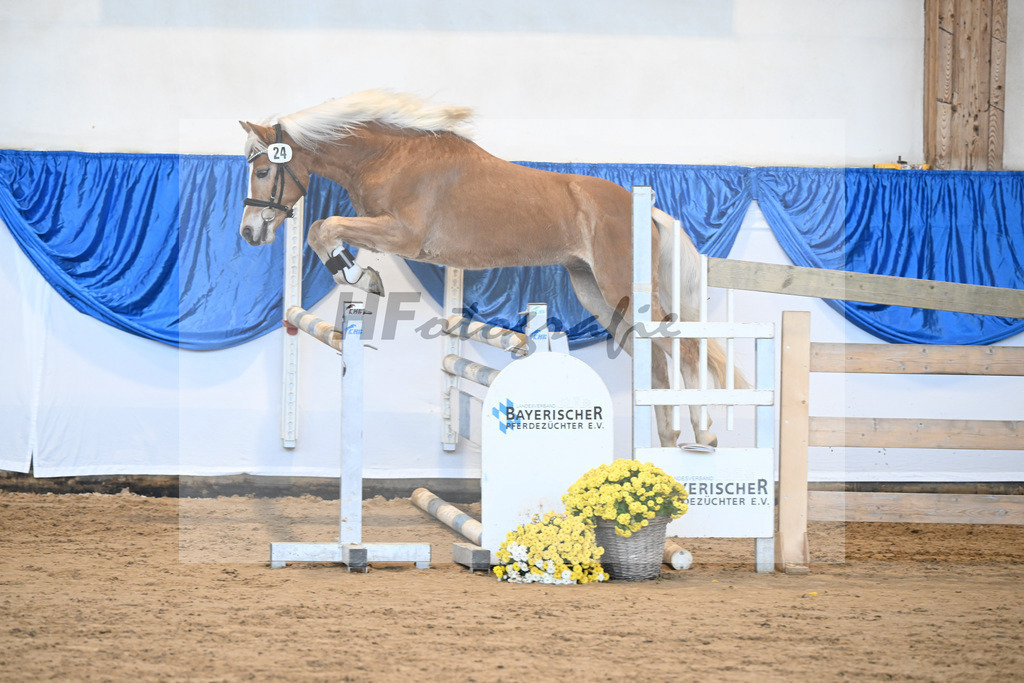 Kat-Nr. 24 nn v. Walkman M_Hartmann_48250499 | hf-fotografie - Realisiert mit Pictrs.com