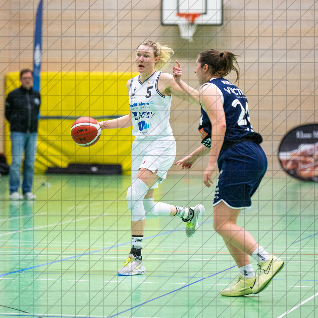2. DBBL Nord 24/25 | 19.01.2025 | BBC OS vs. VfL VIACTIV-AstroLadies Bochum | 2. DBBL Nord 24/25 | 19.01.2025 | BBC OS vs. VfL VIACTIV-AstroLadies Bochum - - - - - CREDIT, www.bullenfotos.de, Martin König, Hörner Weg 40, D-49078 Osnabrück, +4917663732967, Nutzung und Weitergabe nur zu den vereinbarten Zwecken. Presseanfragen an Urheber. Alle Rechte beim Urheber. - - - - - - Realisiert mit Pictrs.com