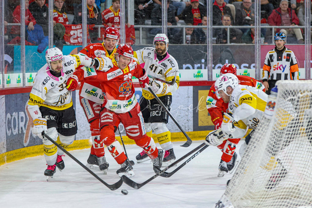 EHCB vs HCA 20260127_wb-9706 | Sportbilder, Sportfotograf, Hochzeits- und Eventfotografin, Flugshows, Portraits und Tiershooting, Aviation, Downhill, Nationalleague, Swissleague, International