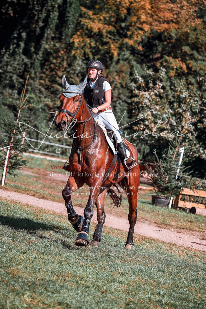 DSC_1009 | Pferde- und Turnierfotografie in Westsachsen. Pferdeportraits, Auftragszeichnungen und intuitive Kunst.