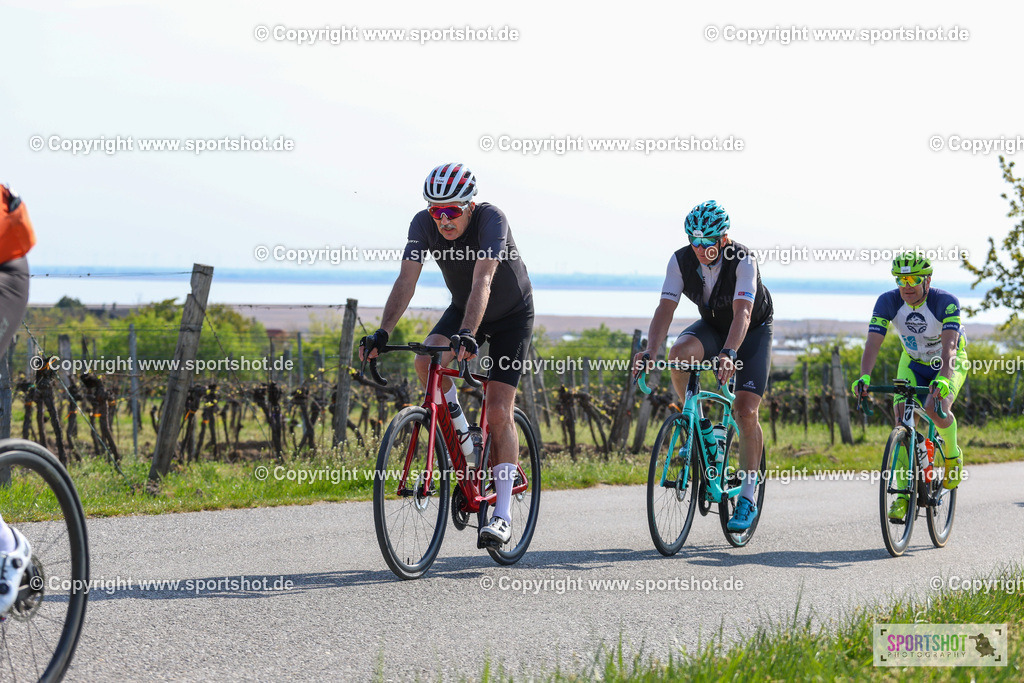 IMG_1748 | @sportshot_your_pictrs #yourpictures#roadtowm2029 #nrm #neusiedlerseeradmarathon #neusiedlersee #neusiedlerseetourismus #burgenland #mörbisch #nrm26 #burgenlandtourismus #voglundco #poweredbyburgenlandtourismus #radsport #rad #marathon #ucigranfondo #visitburgenland #ucigranfondoworldseries