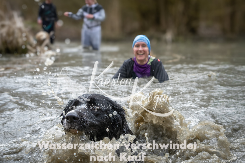 1119_ZZ98459 | kk-dogfotos