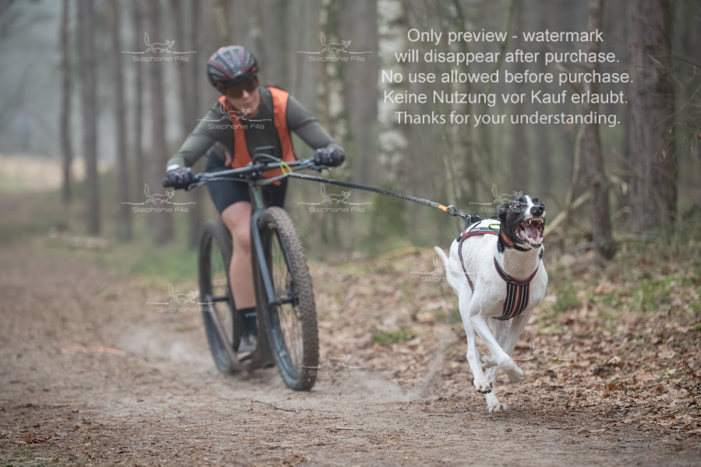 Scooter1-19 | stephaniefillaphotographie - Realisiert mit Pictrs.com