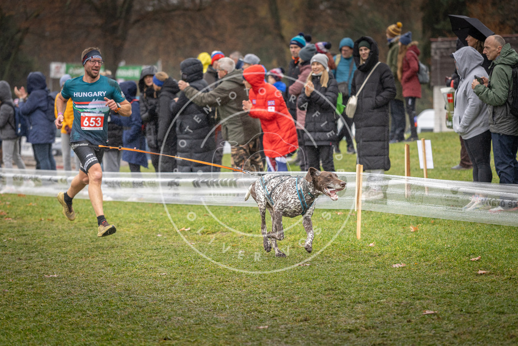CaniXpix_DV3A9854 | Hundefotografie, Tierfotograf, Pfotenfotografie, Fotoshooting Hund, Hunde Portrait, Hundesport, Hundeportraits, Heideshooting, Hunde, Sportfotograf, Hundefotograf, Turnierhundsport, THS,  - Realisiert mit Pictrs.com