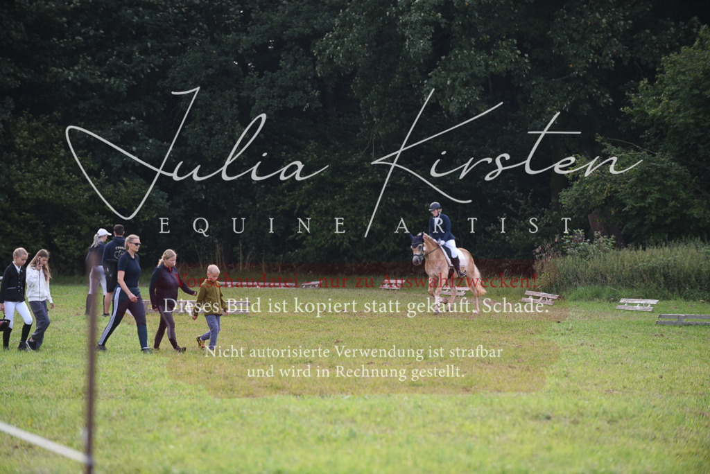 DSC_8587 | Pferde- und Turnierfotografie in Westsachsen. Pferdeportraits, Auftragszeichnungen und intuitive Kunst.