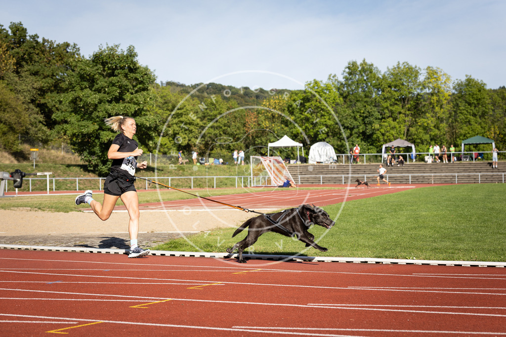 Pfotenfotografie_DV3A9539 | Hundefotografie, Tierfotograf, Pfotenfotografie, Fotoshooting Hund, Hunde Portrait, Hundesport, Hundeportraits, Heideshooting, Hunde, Sportfotograf, Hundefotograf, Turnierhundsport, THS,  - Realisiert mit Pictrs.com