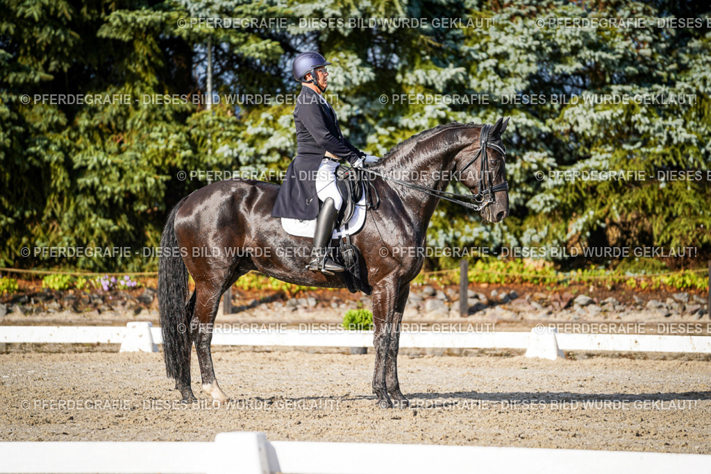 DSC00582 | Pferdegrafie