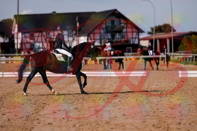 2026_10_03_Siefer-Hof_115615_Z81_96581800 | Professionelle Reitsport-, Turnier- und Eventfotografie von Robert Broda. Galerien mit ausgewählten und bearbeiteten Bildern direkt online ansehen und bestellen.