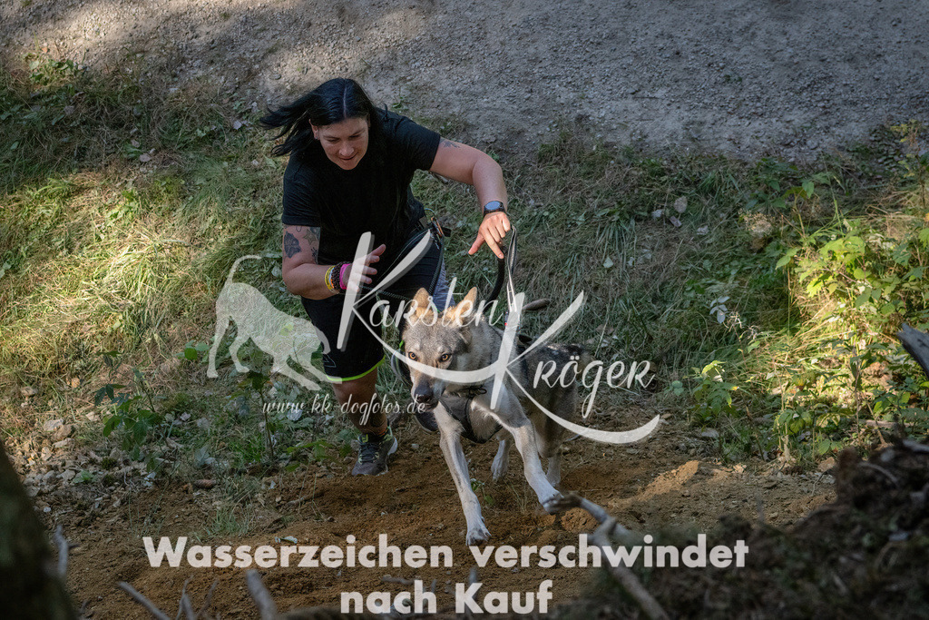 1225_ZZ94428 | kk-dogfotos