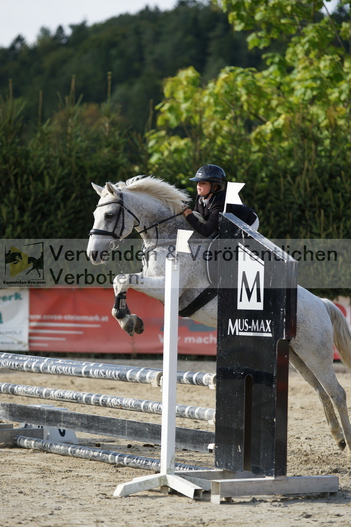 DSC03527 | equestrian-live-com