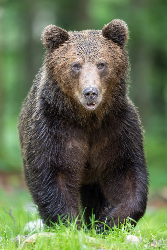 _DSC4733-Verbessert-RR | Ich fotografiere aus Leidenschaft auf meinen Reisen und im Rhein- / Ruhrgebiet , Landschaften, Tiere und Porträts. 

Kaufen Sie die Bilder (u.a. Venedig, Südtirol, Galapagos, Düsseldorf, Indien, Blumen etc.) in einer geschützten Galerie bequem online. - Realisiert mit Pictrs.com