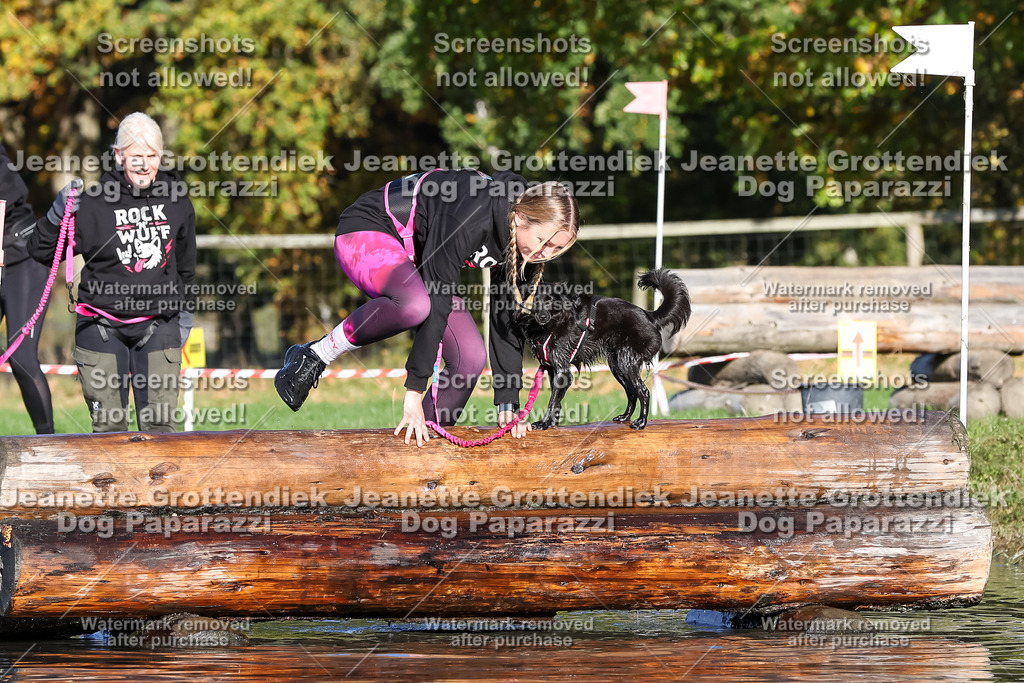 Dog Paparazzi - Strongdog 10-25-8754 | Dog Paparazzi Jeanette Grottendiek Fotografie & Videografie - Realisiert mit Pictrs.com