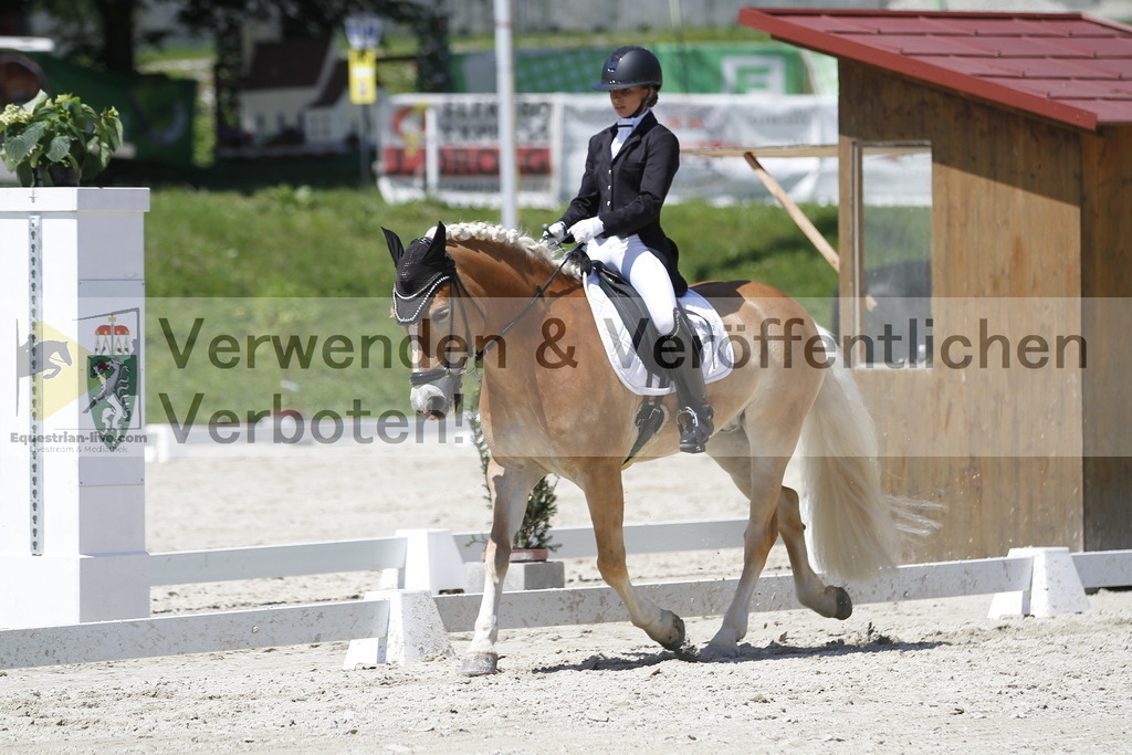 _MG_5021 | equestrian-live-com