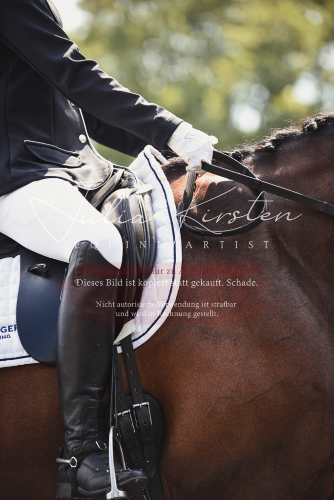 DSC_4138 | Pferde- und Turnierfotografie in Westsachsen. Pferdeportraits, Auftragszeichnungen und intuitive Kunst.