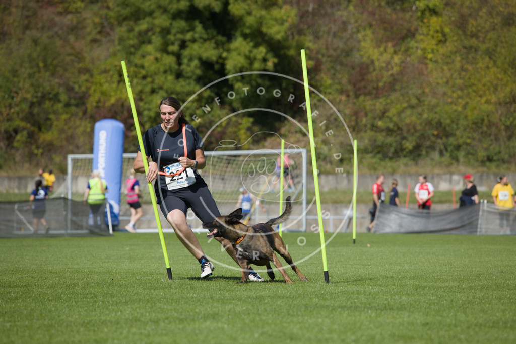 0L8A5963 | Hundefotografie, Tierfotograf, Pfotenfotografie, Fotoshooting Hund, Hunde Portrait, Hundesport, Hundeportraits, Heideshooting, Hunde, Sportfotograf, Hundefotograf, Turnierhundsport, THS,  - Realisiert mit Pictrs.com