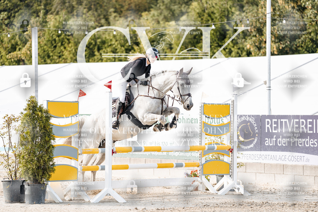 CK906169 | Turnierfotografie Pferdefotografie Trier Rheinland-Pfalz Pferdesport Reitsport Tierfotografie Sportfotografie Pferdevideo Pferdevideografie Equestrianvideography equestrianphotography  - Realisiert mit Pictrs.com