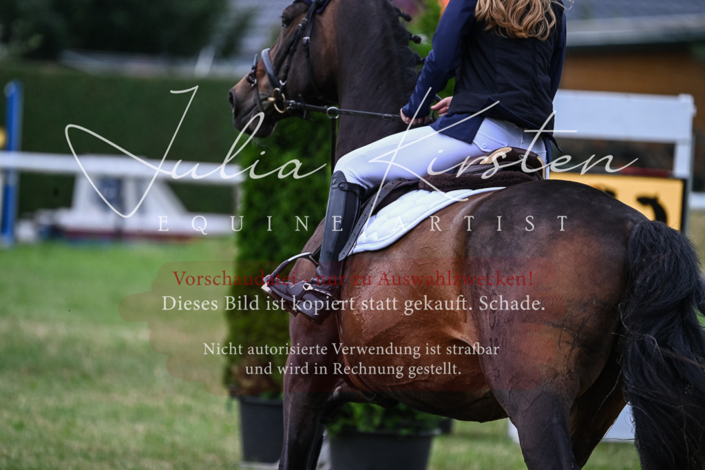 DSC_8559 | Pferde- und Turnierfotografie in Westsachsen. Pferdeportraits, Auftragszeichnungen und intuitive Kunst.