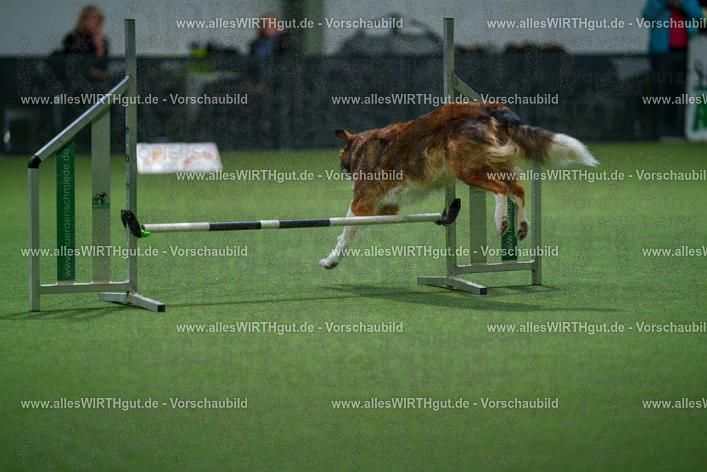 7R504042 | Professionelle Tierfotografie in Mönchengladbach von Daniel Wirth (allesWIRTHgut). Liebevolle & natürliche Bilder von Hunden & Katzen für unvergessliche Erinnerungen.